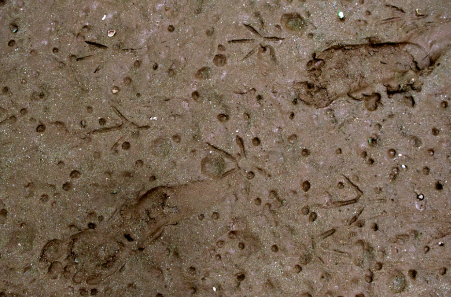 Captura de Pantalla 2026-03-22 a las 9.51.58 Captura de Pantalla 2026-03-22 a las 9.51.58